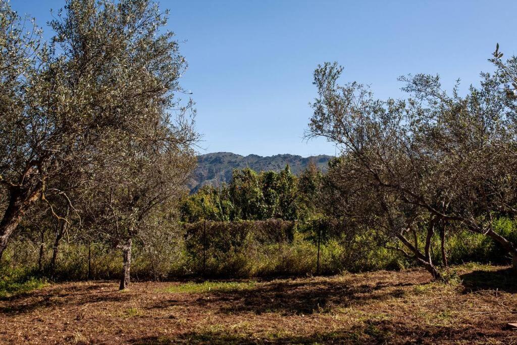 Onar Camper Villa Ligidhes Luaran gambar